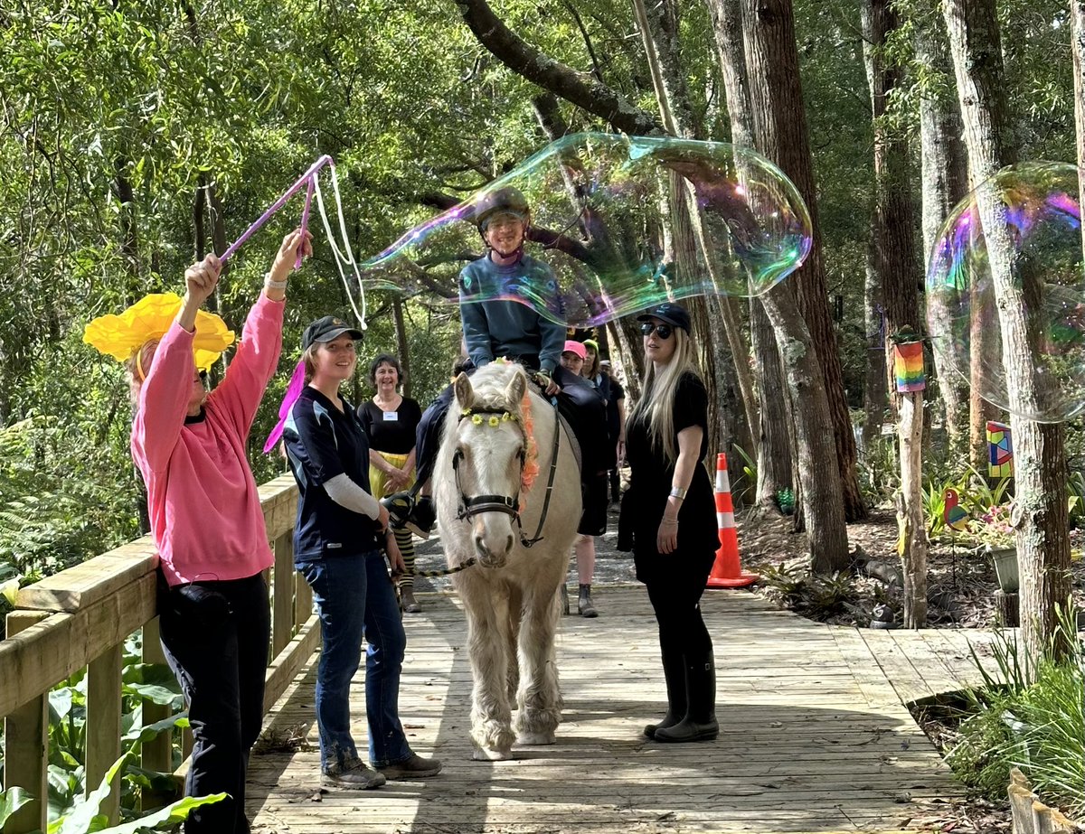 Best use of road cones! A privilege to visit North Shore RDA. Horses are magic and can change lives!
