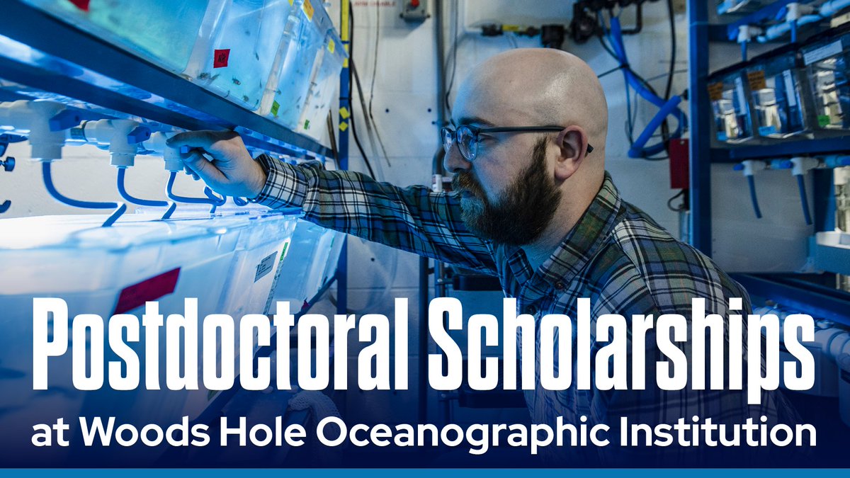 Woods Hole Oceanographic Institution (WHOI) (@whoi) on Twitter photo 🧑🔬 Searching for the perfect post-doc? Broaden your horizons while advancing knowledge of our ocean planet at #WHOI!
📲 Find out more and apply by October 15: go.whoi.edu/pdscholarship
<a href="/whoi_academic/">WHOI_Academic</a> 🧑🔬 Searching for the perfect post-doc? Broaden your horizons while advancing knowledge of our ocean planet at #WHOI!
📲 Find out more and apply by October 15: go.whoi.edu/pdscholarship
<a href="/whoi_academic/">WHOI_Academic</a>