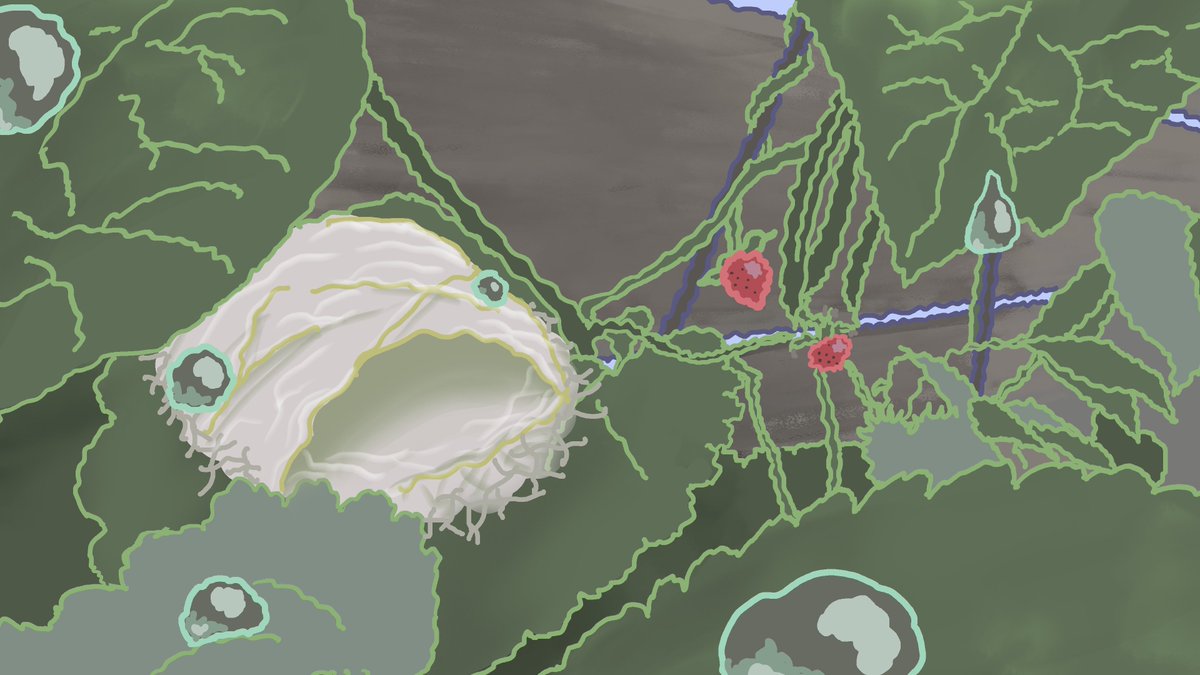 gb pooky tweet media