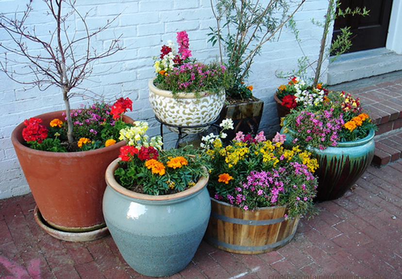 OSU Extension Washington County tweet media