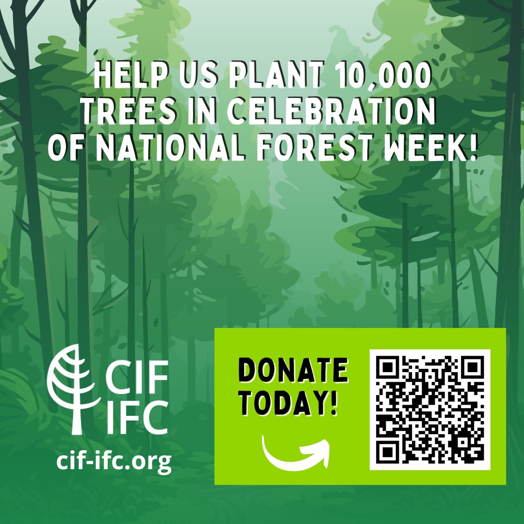 CIF_IFC's tweet image. Bring forestry to the classroom this school year! 

📧Forest Education Network: confirmsubscription.com/h/t/5DD3677285… 

⬇️FREE forest education resources &amp;amp; tools:  cif-ifc.org/get-engaged/fo… 

🌳Donate to #PlantingTheFuture: chuffed.org/project/planti… 

#TreeByTree #CIFReforestation #RootedInCIF