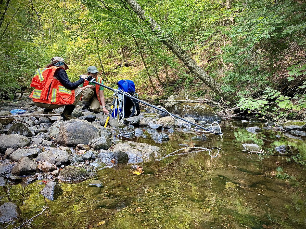 We spent today at beautiful <a href="/TurkeyLakes/">Turkey Lakes Watershed</a> testing some novel eDNA sampling approaches, combining a few techniques to target sampling for forested headwaters. #forestry #ecology #freshwaterecology #watershedscience #forestedwatersheds #forestecology #nrcansci #glfcscience