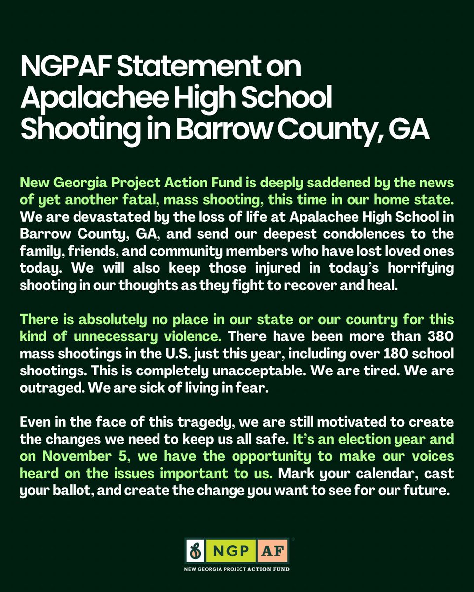 New Georgia Project Action Fund tweet media