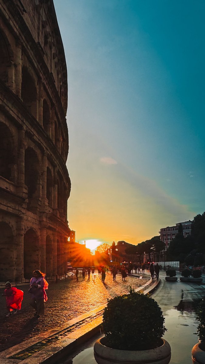 Mario Poje tweet media