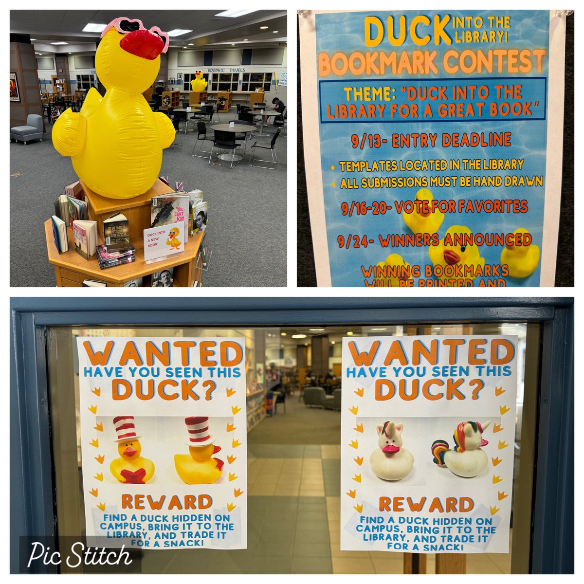 Jessica Scheff tweet media