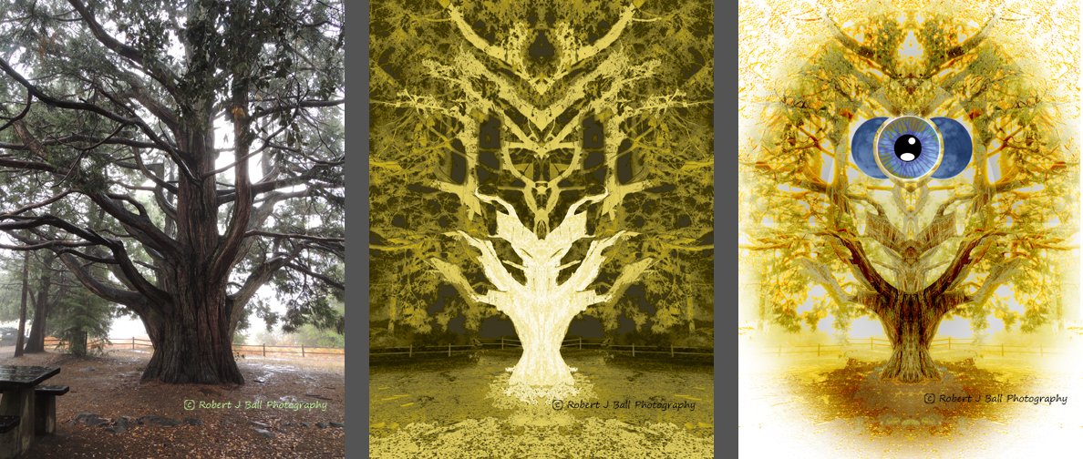 robjoeball's tweet image. My process... The original shot is on the far left at Palomar Mountain in San Diego. #makingart #myprocess