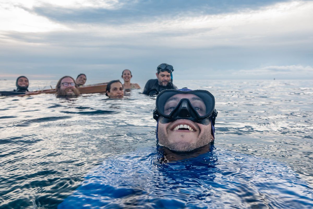 Lalodelacerda* tweet media