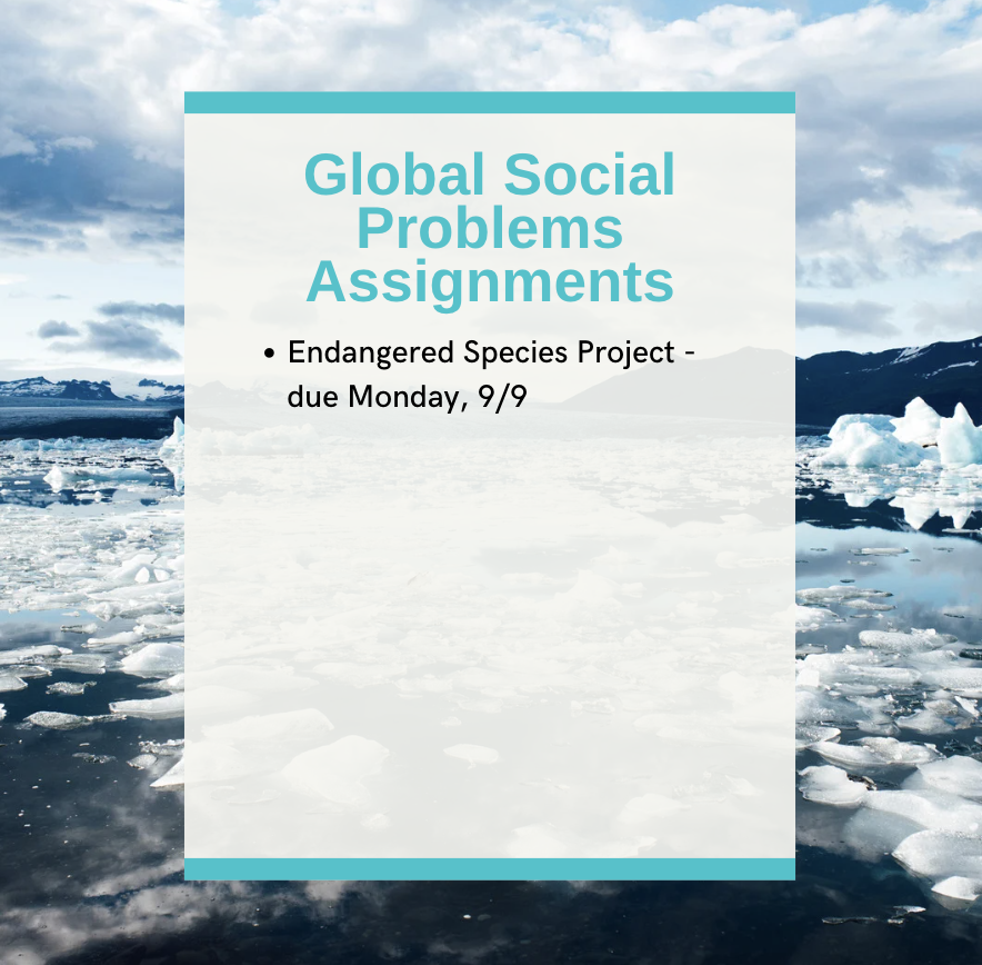 Chris Kindred (@kindredteacher) on Twitter photo 