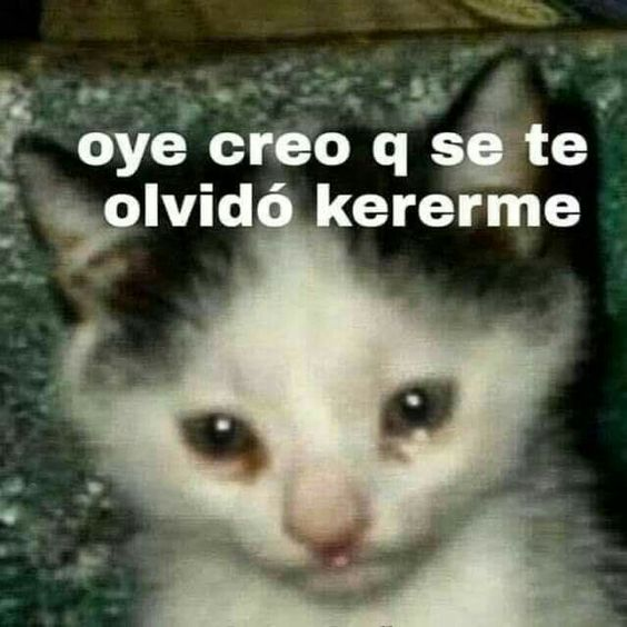 cuando dejan de contestarme al segundo