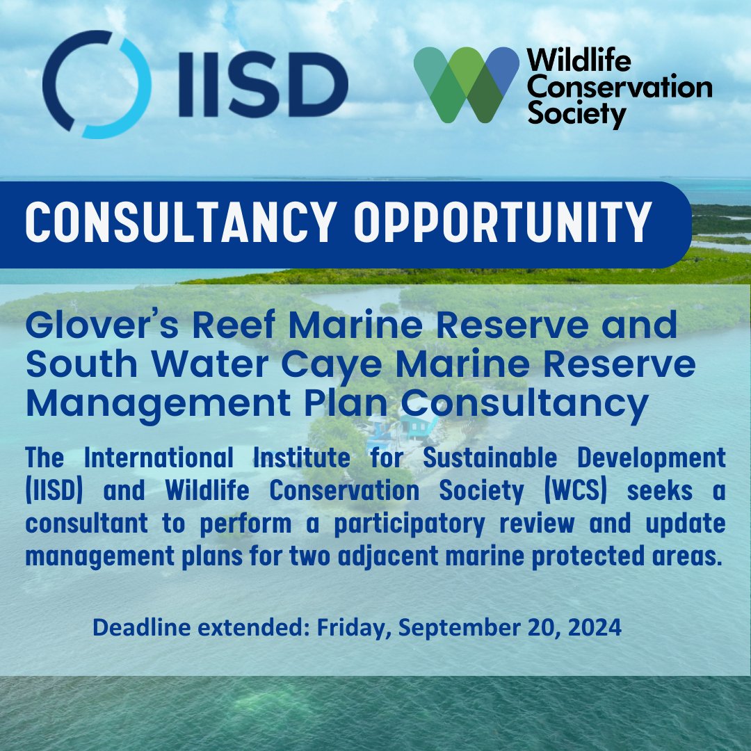 ❗𝐃𝐞𝐚𝐝𝐥𝐢𝐧𝐞 𝐄𝐱𝐭𝐞𝐧𝐝𝐞𝐝  ❗

𝐂𝐀𝐋𝐋 𝐅𝐎𝐑 𝐂𝐎𝐍𝐒𝐔𝐋𝐓𝐀𝐍𝐂𝐘

Learn more and apply here: iisd.bamboohr.com/careers/759

Deadline for submission: Friday, September 20, 2024