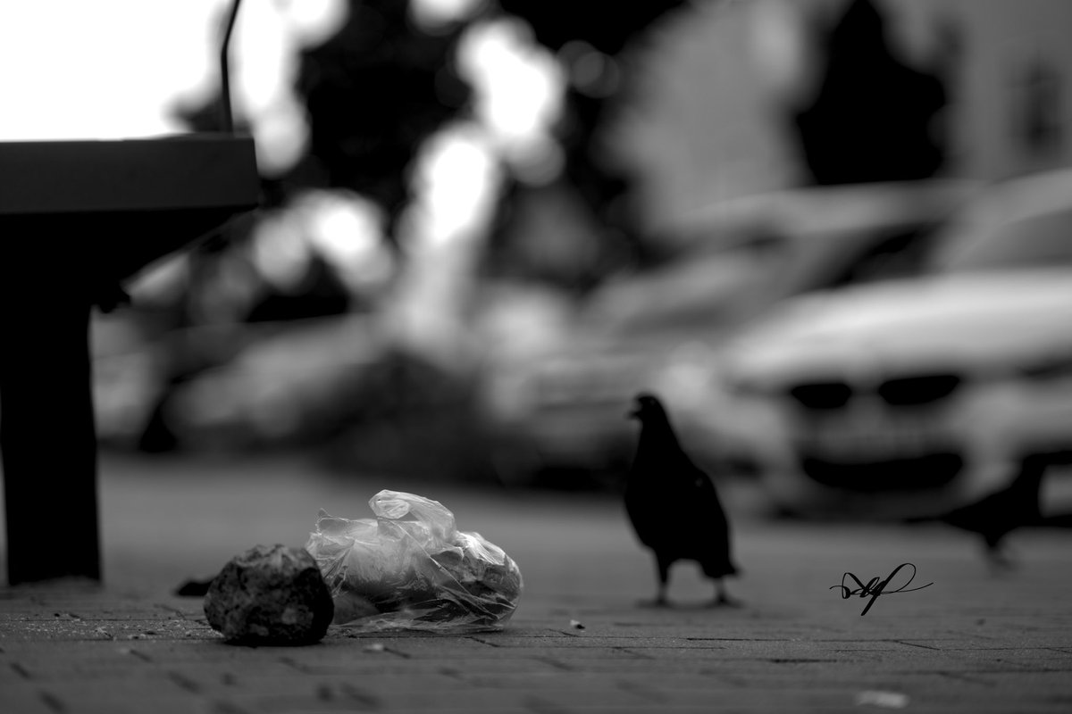 dortmund, germany | pigeon vs buns...

<a href="/rafferara/">raf ferara</a> #rafferara @rafstreets #rafstreets #SPiCollective #SPiAwards #streetphotography #streetphotographyworld #streetmagazine #streettogether #streets_vision #myspc #lensculturestreets #myfeatureshoot #photoobserve #magnumphotos