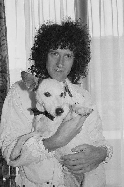 Estradamyers's tweet photo. "Cuando me haya ido, la gente me recordará por Queen, pero preferiría que me recuerden por intentar cambiar la forma en que tratamos a los demás animales_

— Brian May

#BrianMay #Queen https://t.co/Q54aDK0lZK