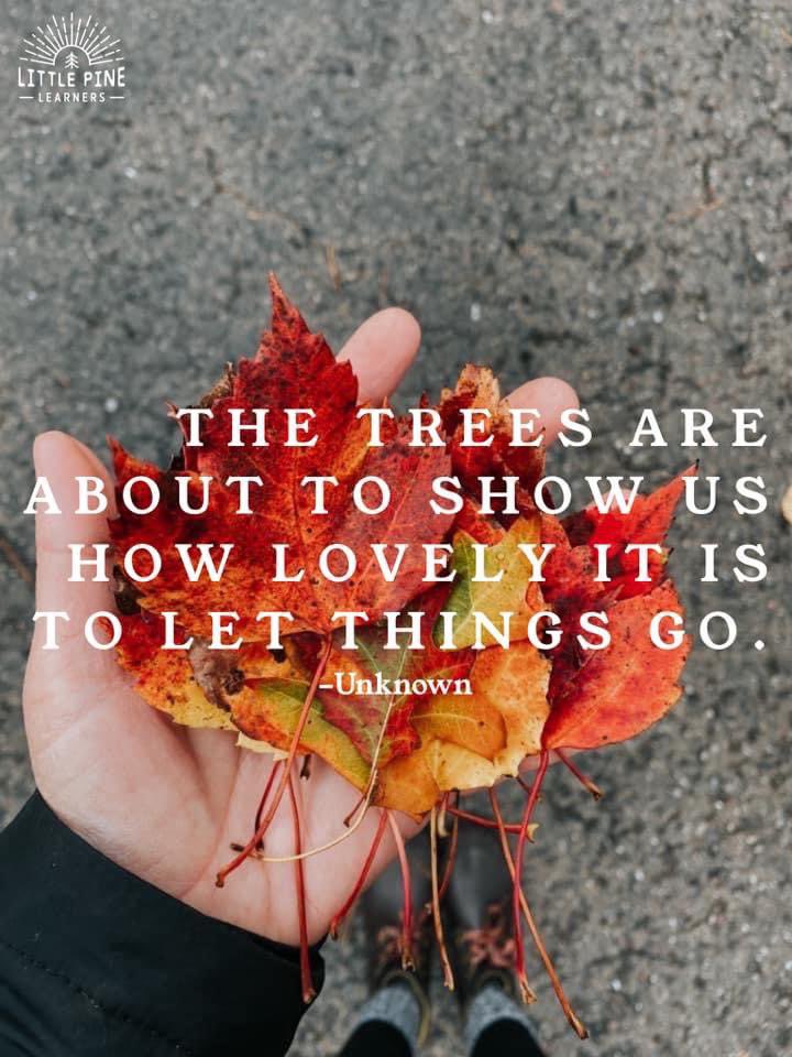 #autumnleaves #nature #autumn