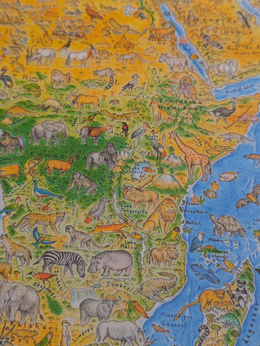 EcoAndrewTRC's tweet image. The best part of my job is getting to introduce people to extremely cool map art that they otherwise maybe wouldn't have seen. @AntonThomasMaps are now at The Map Center and they're so mesmerizing in person. #mapart #cartography