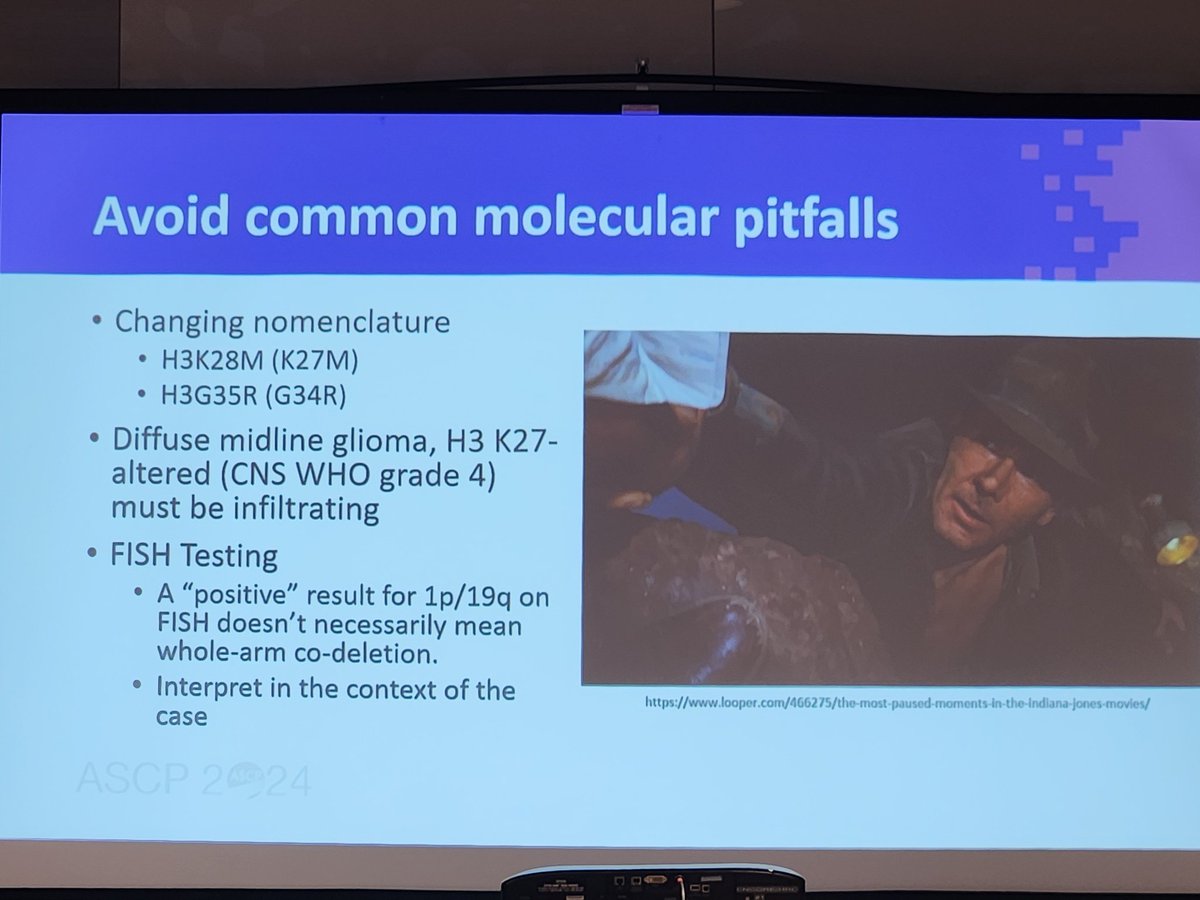 #ASCP2024 Day 2 kicking off with #neuropath #molpath #moldx combo! 

Excellent discussion on the applications of molecular in neuro! 

#pathtwitter #pathX