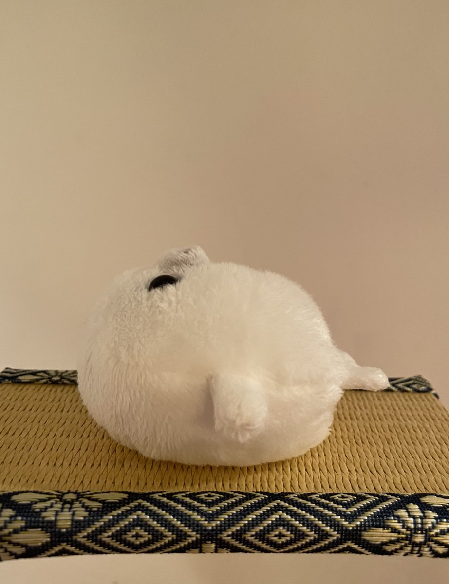 横から見てもまんまるなのね