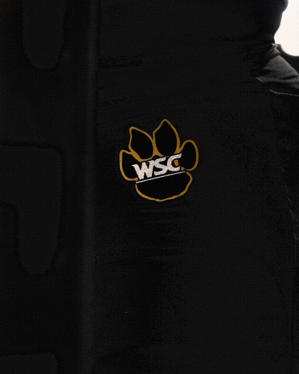 WayneStFootball's tweet photo. 𝙒𝙚𝙚𝙠 𝙏𝙬𝙤 - 𝕭𝖑𝖆𝖈𝖐 &amp; 𝖂𝖍𝖎𝖙𝖊🐯🔥

#ForThePaw #CAT25TANDARD https://t.co/bITUQCLk8P