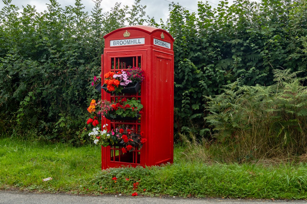 Data_BirdMan's tweet image. Telephone flower garden!