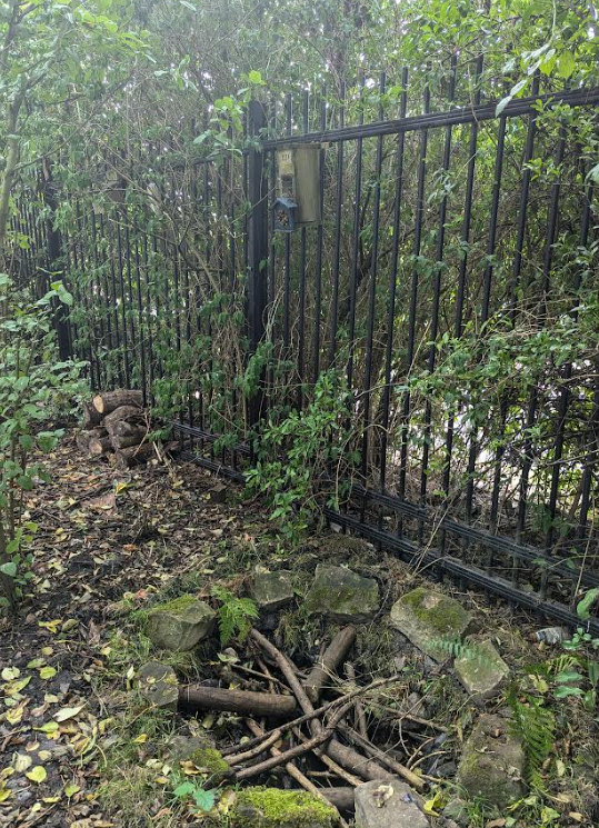 Pudsey Waterloo Primary School tweet media