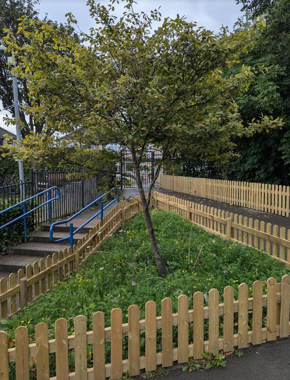 Pudsey Waterloo Primary School tweet media