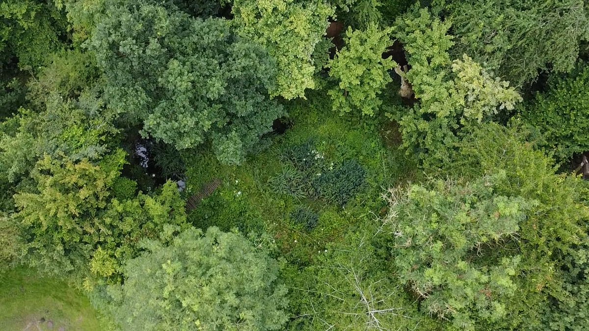 Telford Highways tweet media