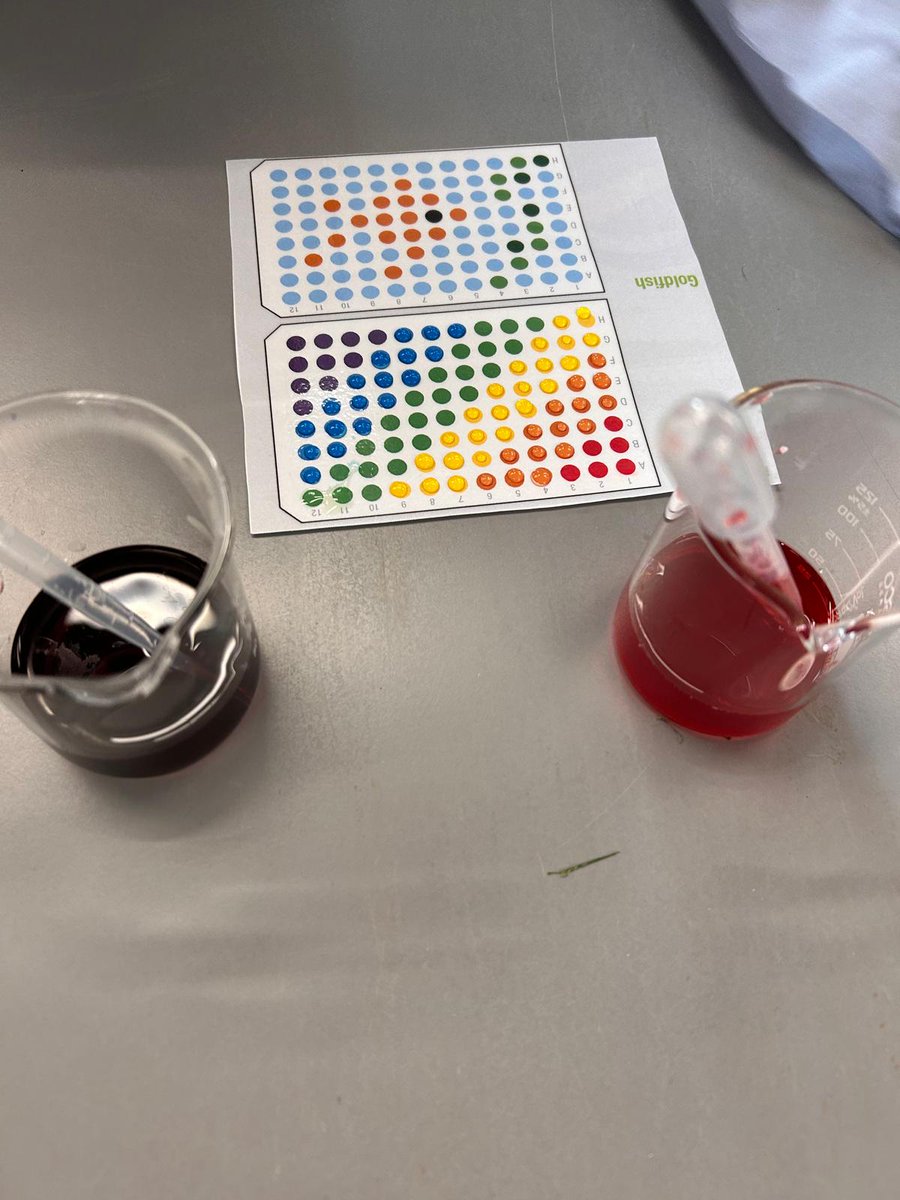 MHS_Science_'s tweet photo. Improving pipette skills with year 8. 🎨🧑‍🔬🥼 #pipetteart #stem #steam #youngscientists https://t.co/b630ZAvKkq