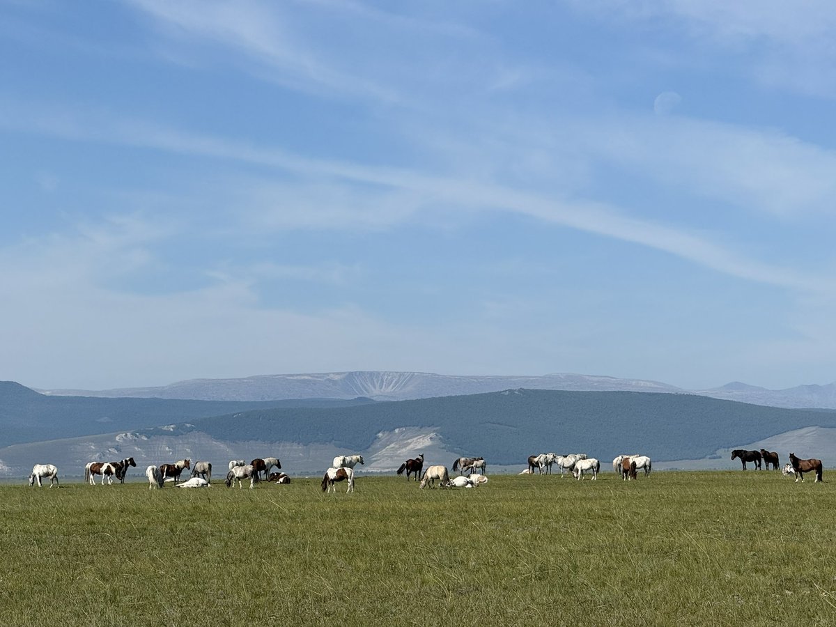 Дархадын цэнхэр хотгор
Аав, ээж хоёрын минь нутаг 🙏🏻