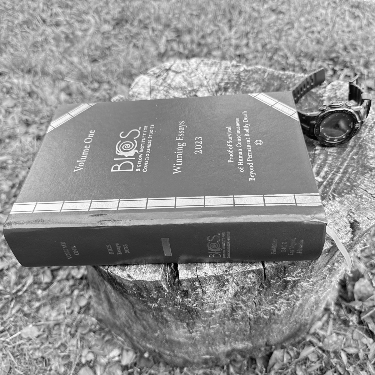 Earthmonk ✝️🇺🇸🧑🧑🧒🧒 (@the_earthmonk) on Twitter photo Working my way through volume one.
Irrefutable scientific evidence
<a href="/BigelowInst/">Bigelow Institute for Consciousness Studies (BICS)</a> Working my way through volume one.
Irrefutable scientific evidence
<a href="/BigelowInst/">Bigelow Institute for Consciousness Studies (BICS)</a>