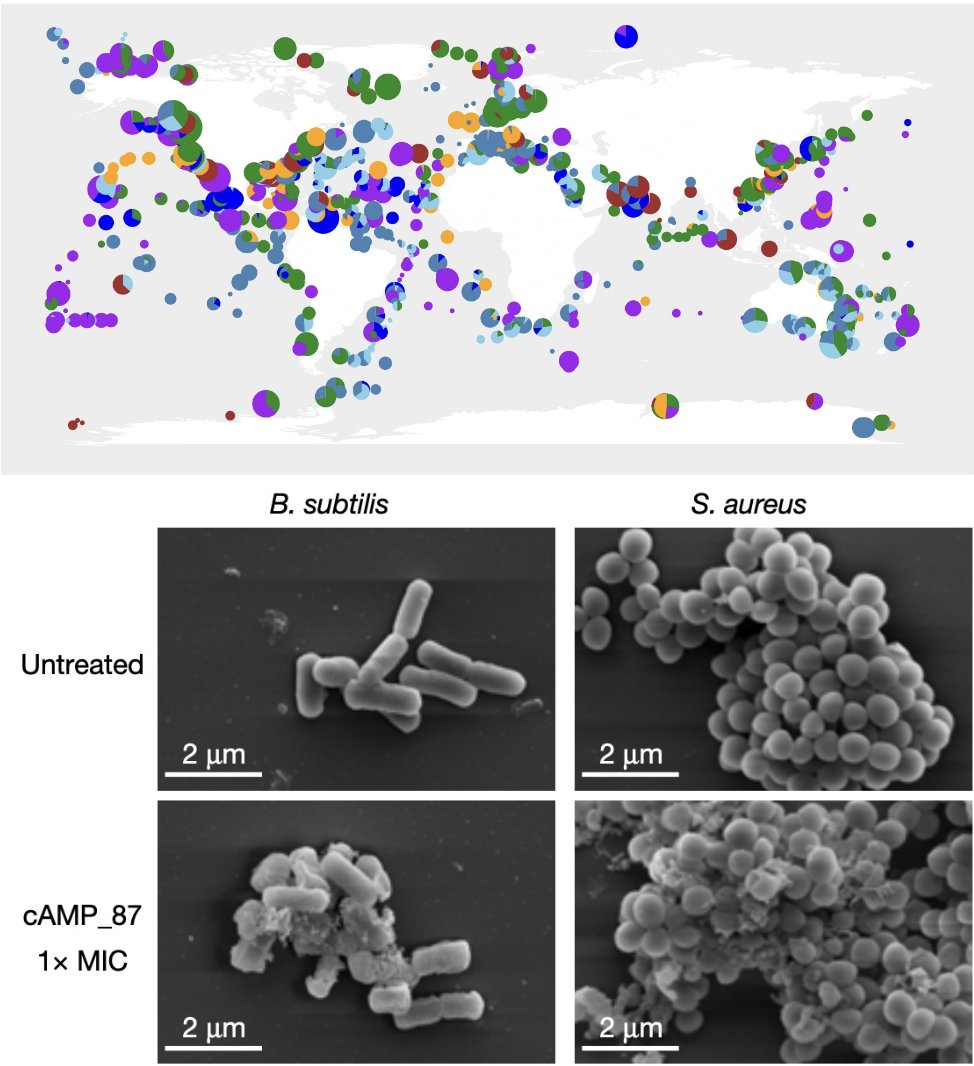Thomas Mock (@th_mock) on Twitter photo Our new paper <a href="/Nature/">nature</a> with <a href="/TheBgiGroup/">BGI Group</a> <a href="/OUC1924/">Ocean University of China</a> and other collaborators provides evidence from the laboratory that ocean microbiomes advance biotechnology and biomedicine. <a href="/ueaenv/">UEA School of Environmental Sciences</a> <a href="/UEAResearch/">UEA Research</a> #microbiome #biodiversity
nature.com/articles/s4158… Our new paper <a href="/Nature/">nature</a> with <a href="/TheBgiGroup/">BGI Group</a> <a href="/OUC1924/">Ocean University of China</a> and other collaborators provides evidence from the laboratory that ocean microbiomes advance biotechnology and biomedicine. <a href="/ueaenv/">UEA School of Environmental Sciences</a> <a href="/UEAResearch/">UEA Research</a> #microbiome #biodiversity
nature.com/articles/s4158…