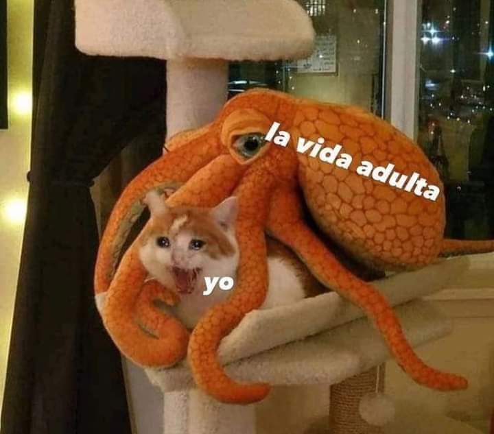 En Júpiter (@en_jupiter_) on Twitter photo 