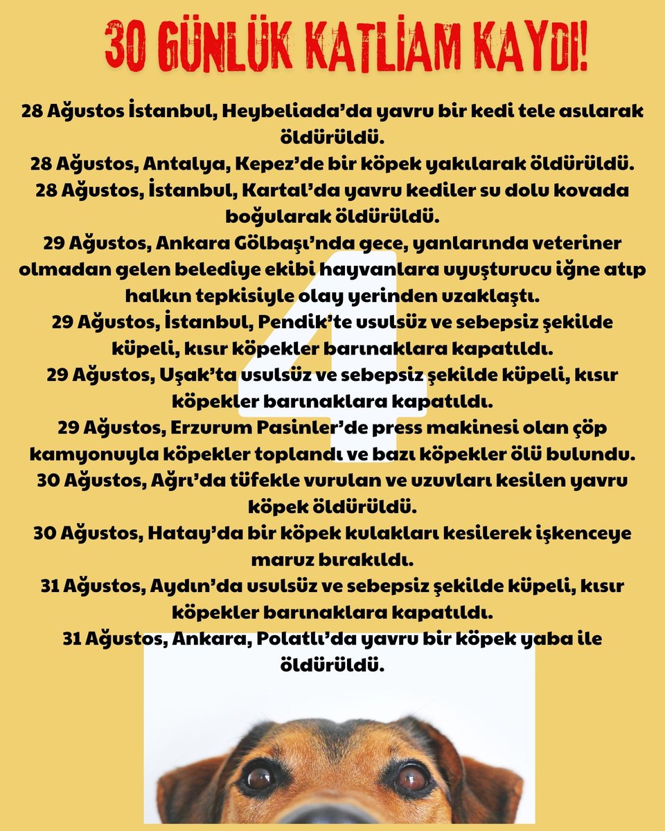 ⚠️Katliam yasası çıktığından beri ülkenin dört bir yanından cinayet haberleri geliyor.

⚠️Vicdanın, hukukun ve insanlığın gereğini yerine getirip #YasayıİptalEtAYM 

⚠️ Son bir ayda gerçekleşen katliamı gör ve duyarsız kalma <a href="/AYMBASKANLIGI/">Anayasa Mahkemesi</a> 

#KatliamYasasınaHayır