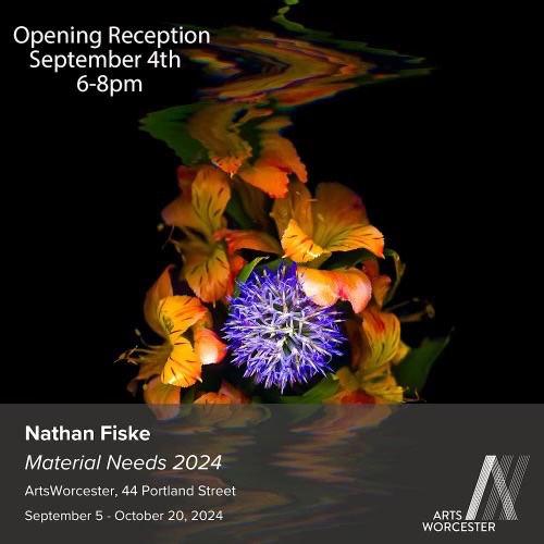 Jenny Pacillo tweet media