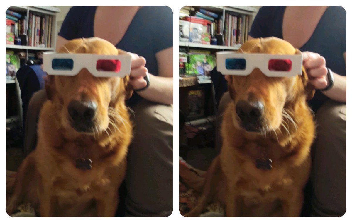 StereoSimian's tweet image. Taken with the new Beam Pro 3D camera!

As a budget 3D camera it has its limitations, but for off the cuff #stereoscopic #3D snaps, it’s great fun! 

Well, not for @DoggoPunky perhaps.