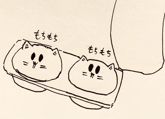 もち猫さん達は大福だけど餅じゃない🐱 