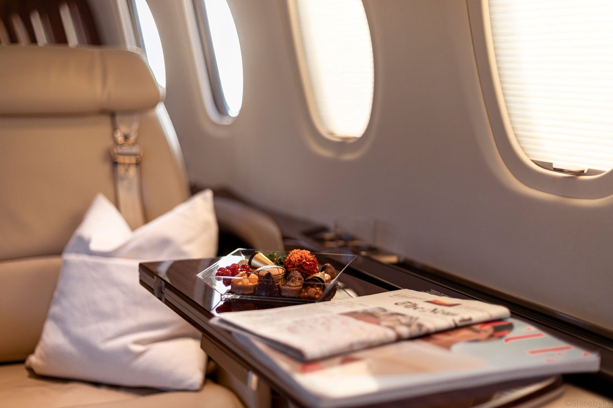 Indulging in a little 'sky-high' reading and sweet treats while cruising at 30,000 feet. Who says you can't have your cake and eat it too? 🍰✈️

#planesmart #aviation #jetsetlife #flyprivate #sweetescape #luxurytravel #privatejet