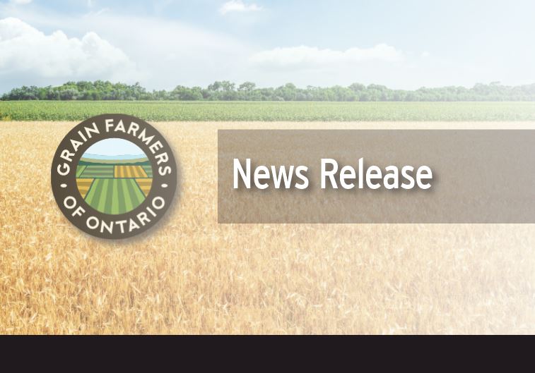 Grains Innovation Fund is now open for applications! The fund invites innovators spanning the entire value chain, encompassing participants from the grain handling system, food and feed manufacturers, bioproduct pioneers, marketers, retailers, and beyond.

Read the full release