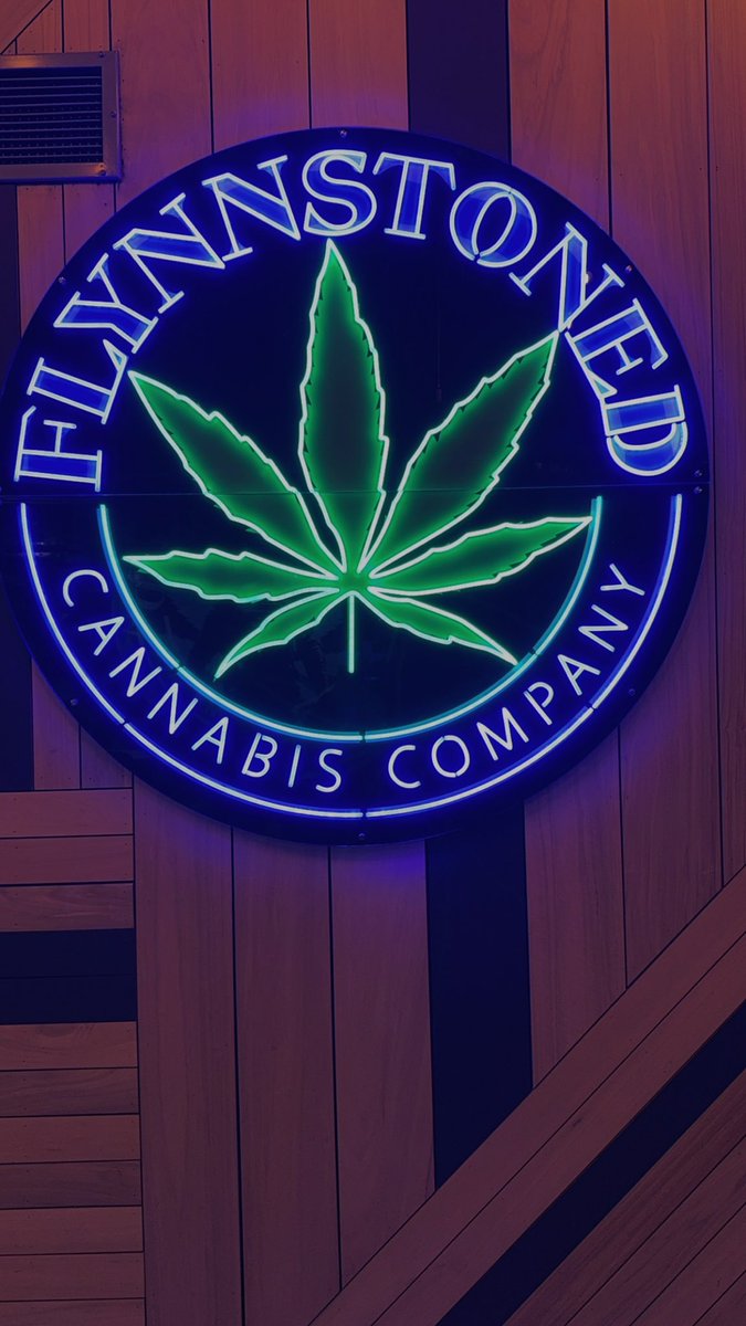 Olivia Weekes (@oliviaweekes) on Twitter photo 