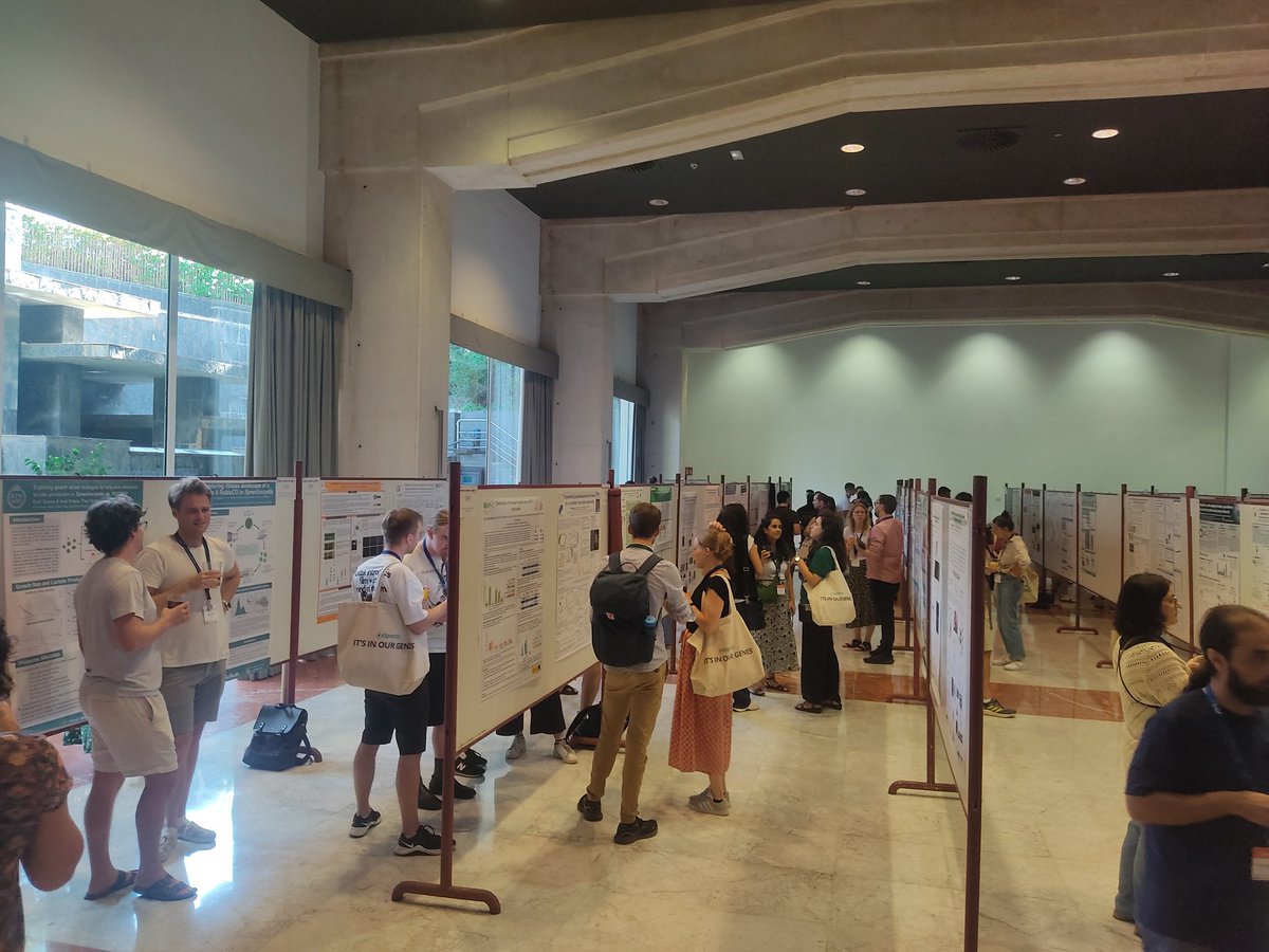 ewbc2024's tweet image. Posters session with drinks. Great to see soo many people discussing them!! Thanks to @AMI_SMIJournal for sponsoring it!!