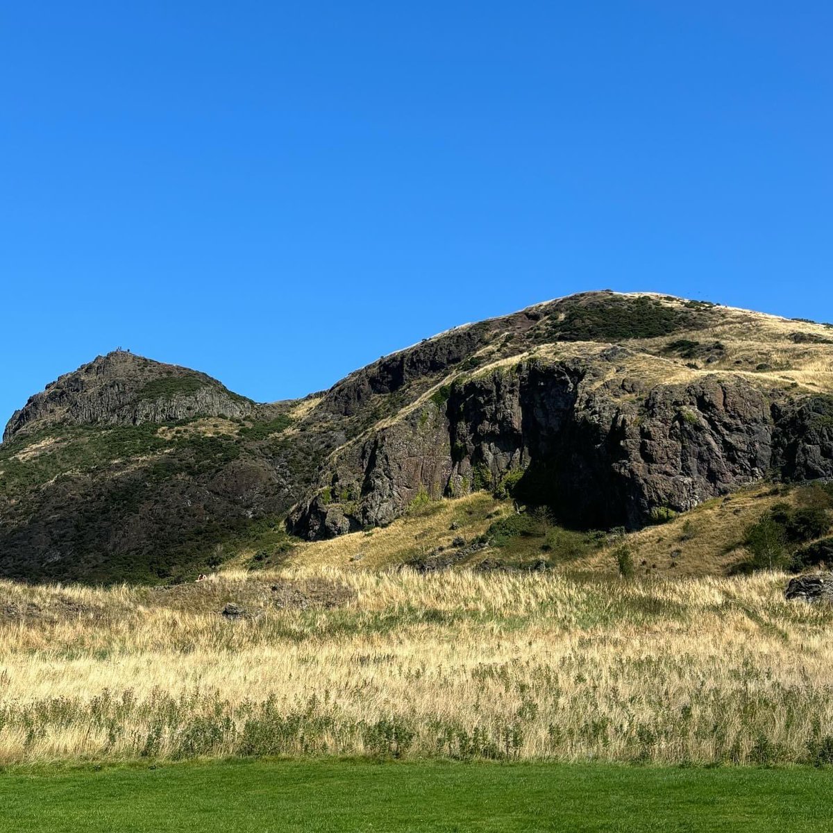 liinapy's tweet image. Ready to amlap! My first time in Edinburgh, very excited and such a gorgeous day for pre-conference touristing! #AMLaP2024