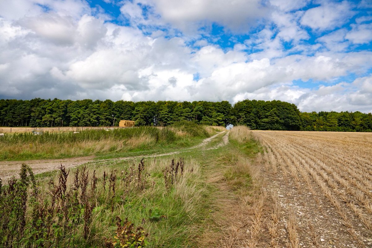 LesleyCashell's tweet image. Win Green near Shaftesbury this morning @StormHour @ThePhotoHour @BBCSouthWeather @Dorset_NL @dorsetlandscape @lovefordorset @DorsetMag