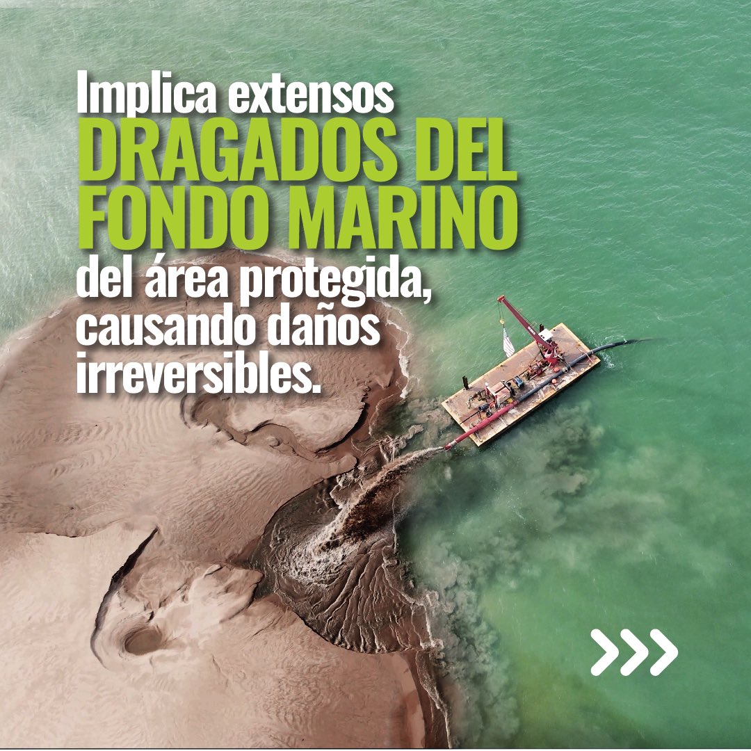 🚫¡Basta de destrucción! 🚫
El Estudio de Impacto Ambiental de este proyecto no evalúa todos los riesgos e impactos ambientales. Pone en peligro nuestros manglares, la vida marina y las actividades económicas locales.
El proyecto debe regresar a Barú. David necesita sus áreas