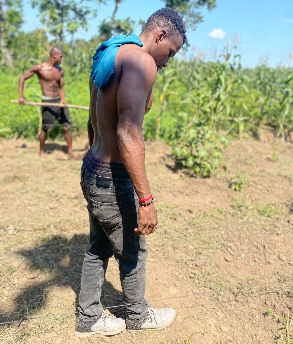MarkenroodTbs's tweet photo. Nou kwè di tankou fè, lè nou favorize enklizyon agrikiltè yo epi pataje pratik agrikòl lokal yo ak touris atravè pratik dirab tankou agritouris, se ap yon benefis alafwa pou ekonomi lokal la ak prezèvasyon resous kiltirèl ak natirèl yo.
•
•
•
@tbsayiti | @nwalakayanm https://t.co/WH2XyVkSXF