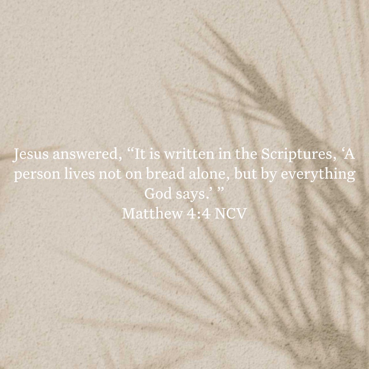 TORARADICAL's tweet image. #Jesus #itiswritten #notonbreadalone #everythingGodsays #Bible #Matthew4v4