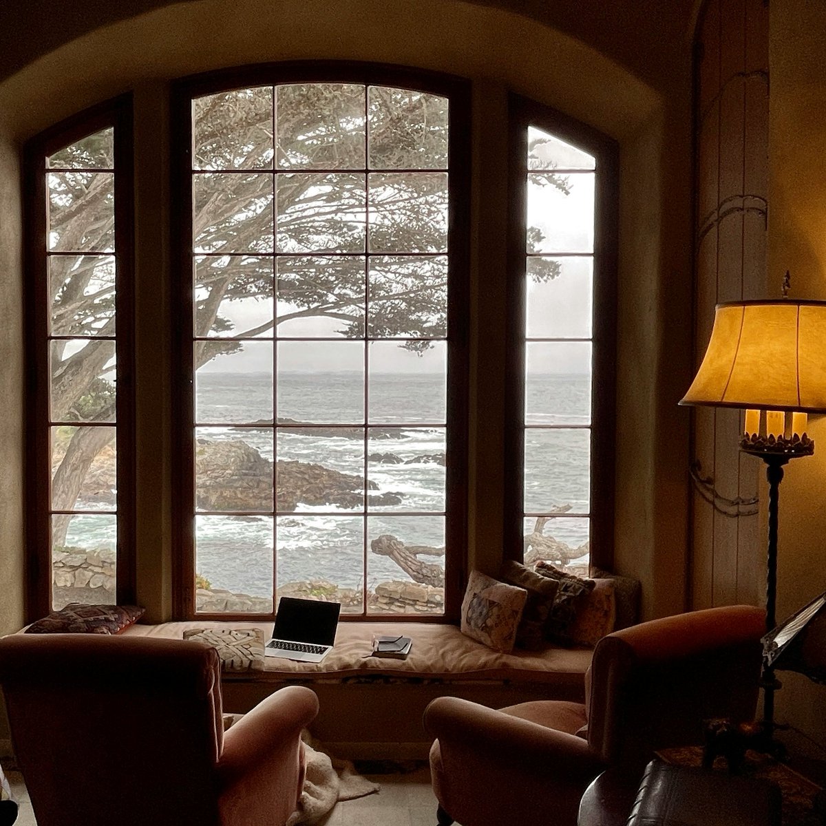 kturnerdev's tweet image. I did the thing and launched a newsletter. It's called the Writing Nook, and aims to provide a cozy online space to explore writing through a seasonal lens. Learn more and sign up here: kateturnereditor.com/newsletter

(Photo by Jon Tyson on Unsplash)