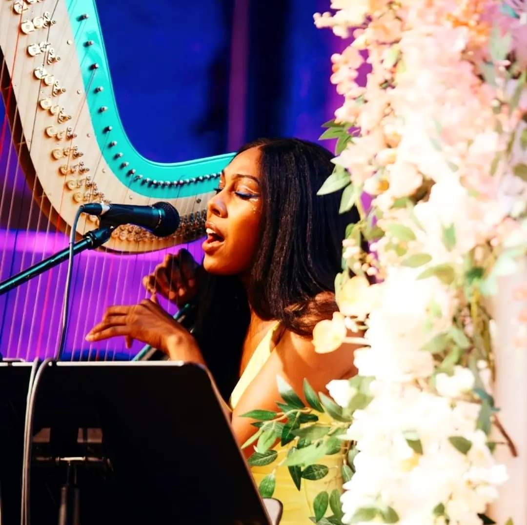 AquilMizan's tweet photo. Happy Birth Anniversary to #harpist @idee_fixe_!
In the video @miyabimatsuoka is playing #HappyBirthday!

#strings #blackgirlsrock #harps #harpists #blackgirlmagic #harpmusic #harpistsofinstagram #harp #AhyaSimone #harplife #Ahya #Simone #harpplayer #harpsolo #harpplayers https://t.co/ENxDIBwkB7