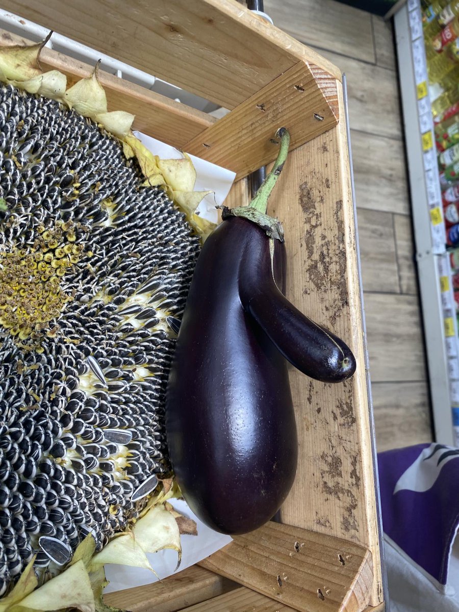 bartokatt's tweet image. dorysujcie mu kogos twarz pls