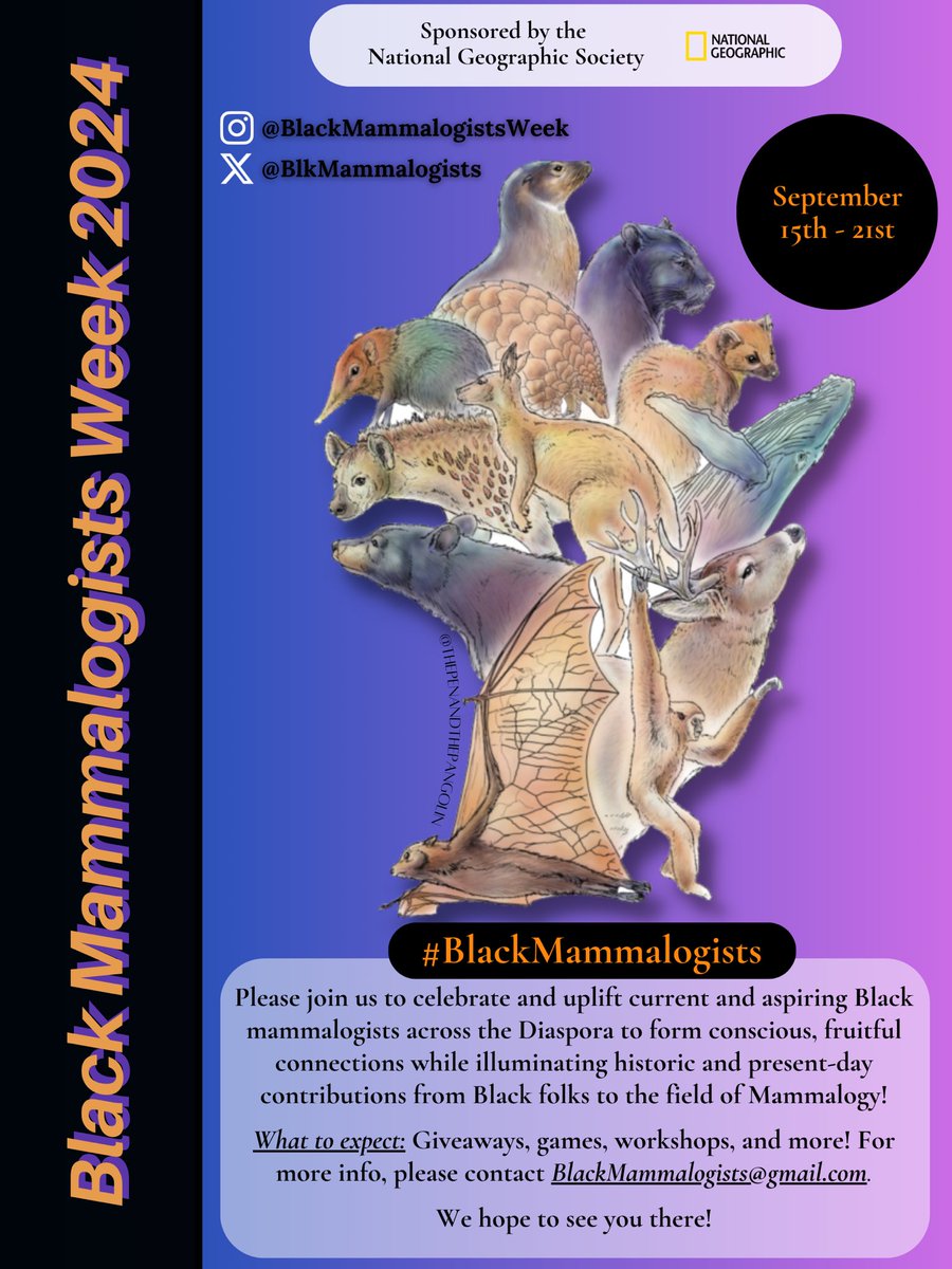 Black Mammalogists Week (@blkmammalogists) on Twitter photo We are so excited to bring you #BlackMammalogists Week 2024! September 15-21st. Expect tons of giveaways, workshops, games, & other interactive content— all virtual so anyone can join. Can’t wait to see you there! 🐾✊🏽
Major sponsor: <a href="/InsideNatGeo/">National Geographic Society</a>
flyer: <a href="/Sustainabaddie/">Joelle J. ♻️, M.S., she/her</a> We are so excited to bring you #BlackMammalogists Week 2024! September 15-21st. Expect tons of giveaways, workshops, games, & other interactive content— all virtual so anyone can join. Can’t wait to see you there! 🐾✊🏽
Major sponsor: <a href="/InsideNatGeo/">National Geographic Society</a>
flyer: <a href="/Sustainabaddie/">Joelle J. ♻️, M.S., she/her</a>