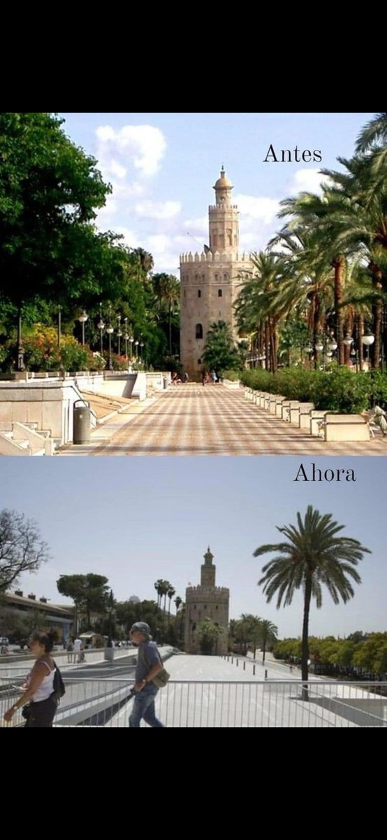 manzanalhorno's tweet photo. @diariosevilla Lo bonito que era ese paseo y en la mierda que lo convirtieron. https://t.co/yXdTq6jeJd