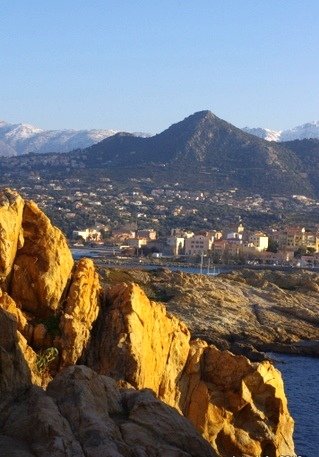 Andreani ghjuvan 🐞 tweet media