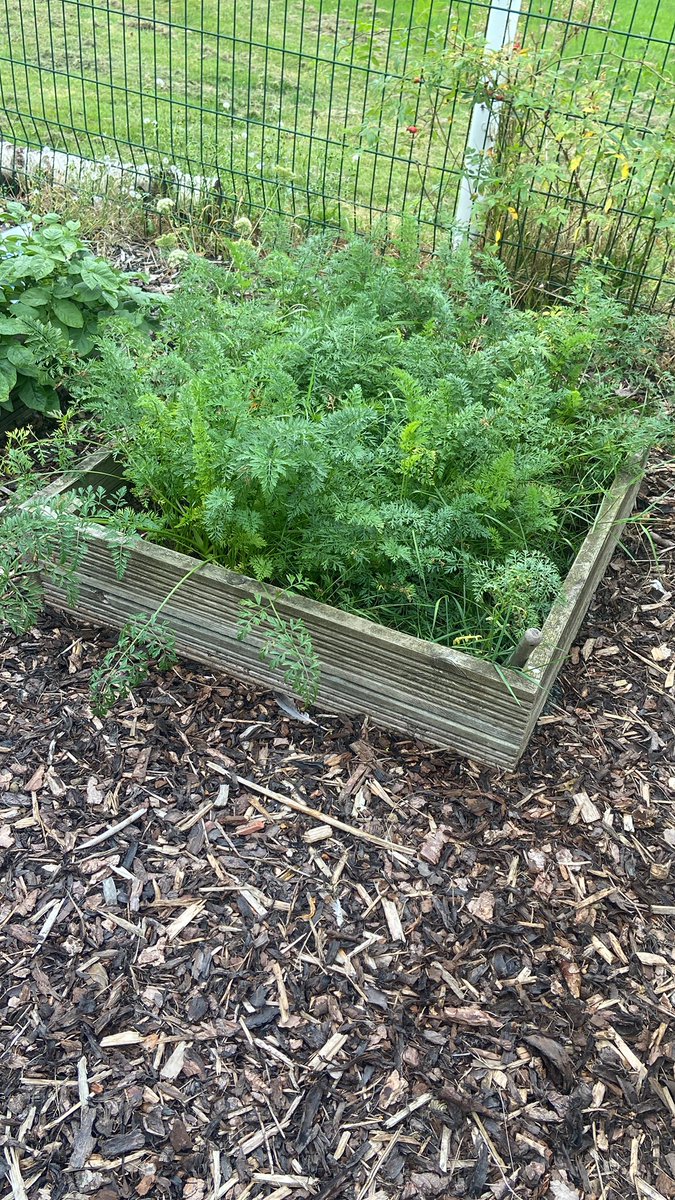 Emley First School tweet media